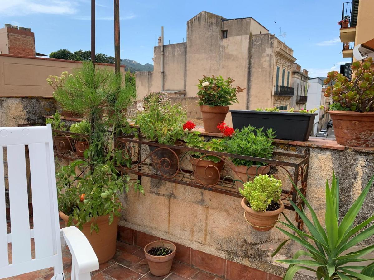 Notaria-Apartamento Y Estudio En Casco Antiguo, Al Lado De Playa, Rambla Y Monasterio, Con Acceso A Terraza Ajardinada Sant Feliu de Guíxols Luaran gambar