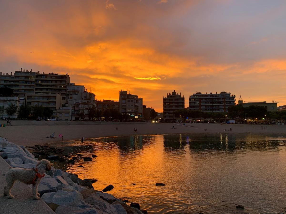 Notaria-Apartamento Y Estudio En Casco Antiguo, Al Lado De Playa, Rambla Y Monasterio, Con Acceso A Terraza Ajardinada Sant Feliu de Guíxols Luaran gambar